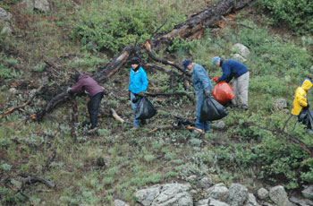 Spurge-CleanUP