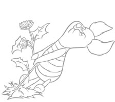 Piglet pulling myrtle spurge