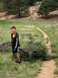 Poorman Hill Neighborhood Grass and Slash - Collin