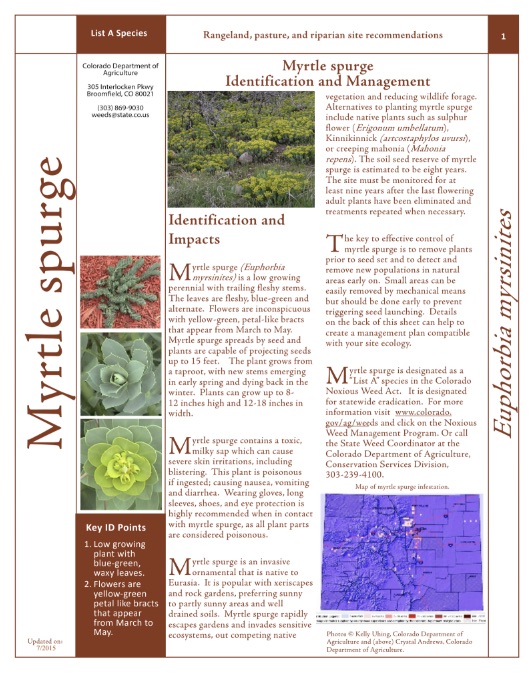 Myrtle Spurge Fact Sheet